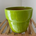 Pot vernie vert