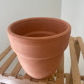 Pot