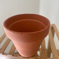 Pot