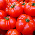 Tomate Marmande