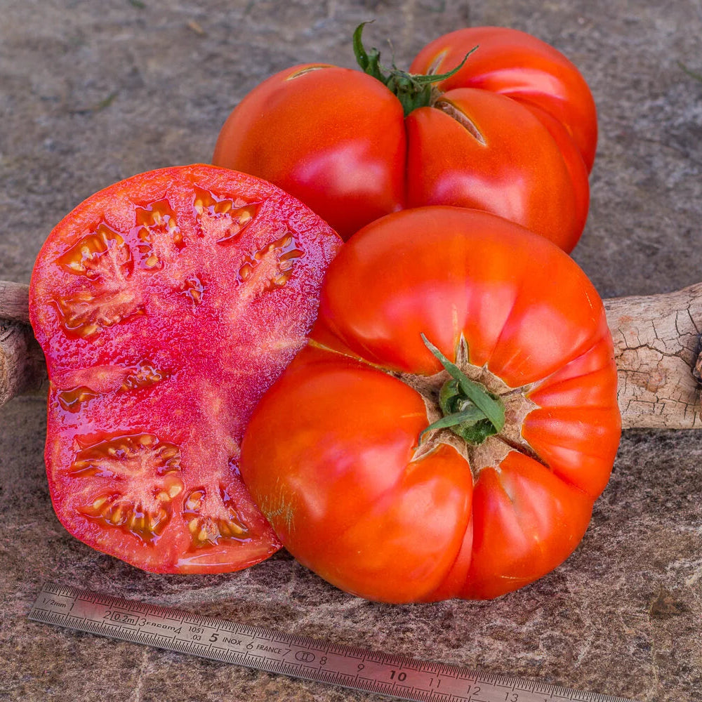 Tomate Burpee delicious